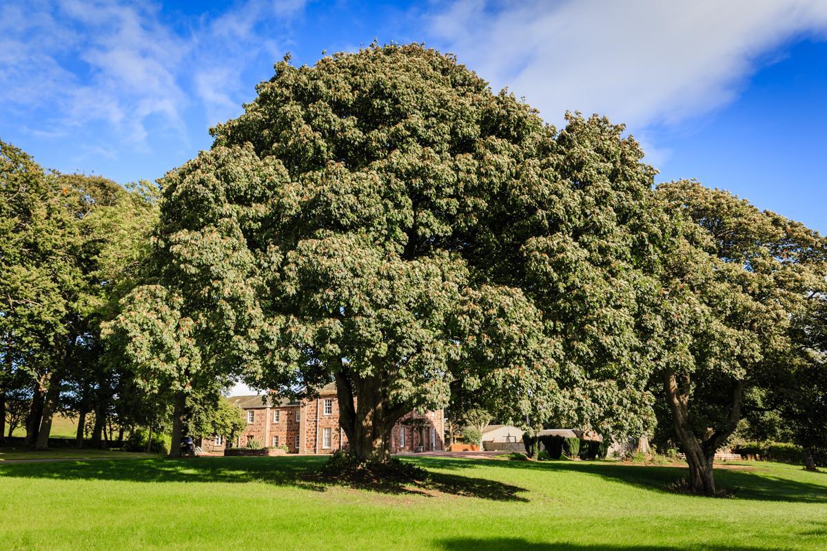 Lunan House Arbroath Exteriör bild